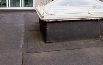 disadvantages of New Luce flat roofs