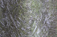 New Luce fibreglass roof work